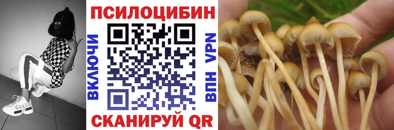 Галлюциногенные грибы прущие грибы  дарк нет формула  Луховицы 
